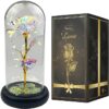 Galaxy-rose-amazon-christmas-galaxy-rose-with-dome